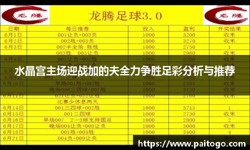 水晶宫主场迎战加的夫全力争胜足彩分析与推荐